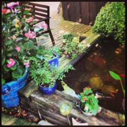 Le Jardin