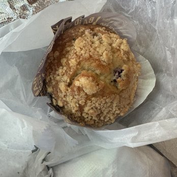 Bagel Tree - Blueberry muffin - Bagels Near Me - New York, New York