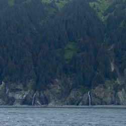 Captain B's Alaskan C's Adventures