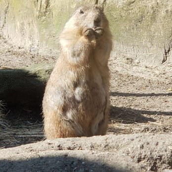 Drusillas Park - Zoos Near Me - Polegate, ESX Drusillas Park - Zoos Near Me - Polegate, ESX