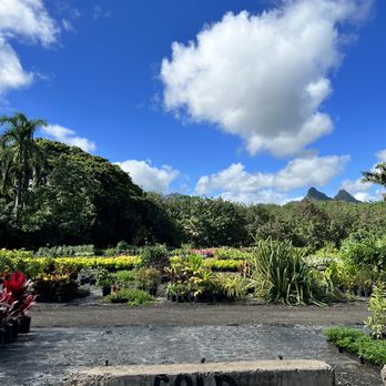 Koba's Nursery - Nurseries & Gardening Near Me - Waimanalo, Hawaii