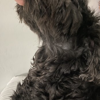 Petco - Pet Training Near Me - Fort Myers, Florida Petco - Pet Training Near Me - Fort Myers, Florida