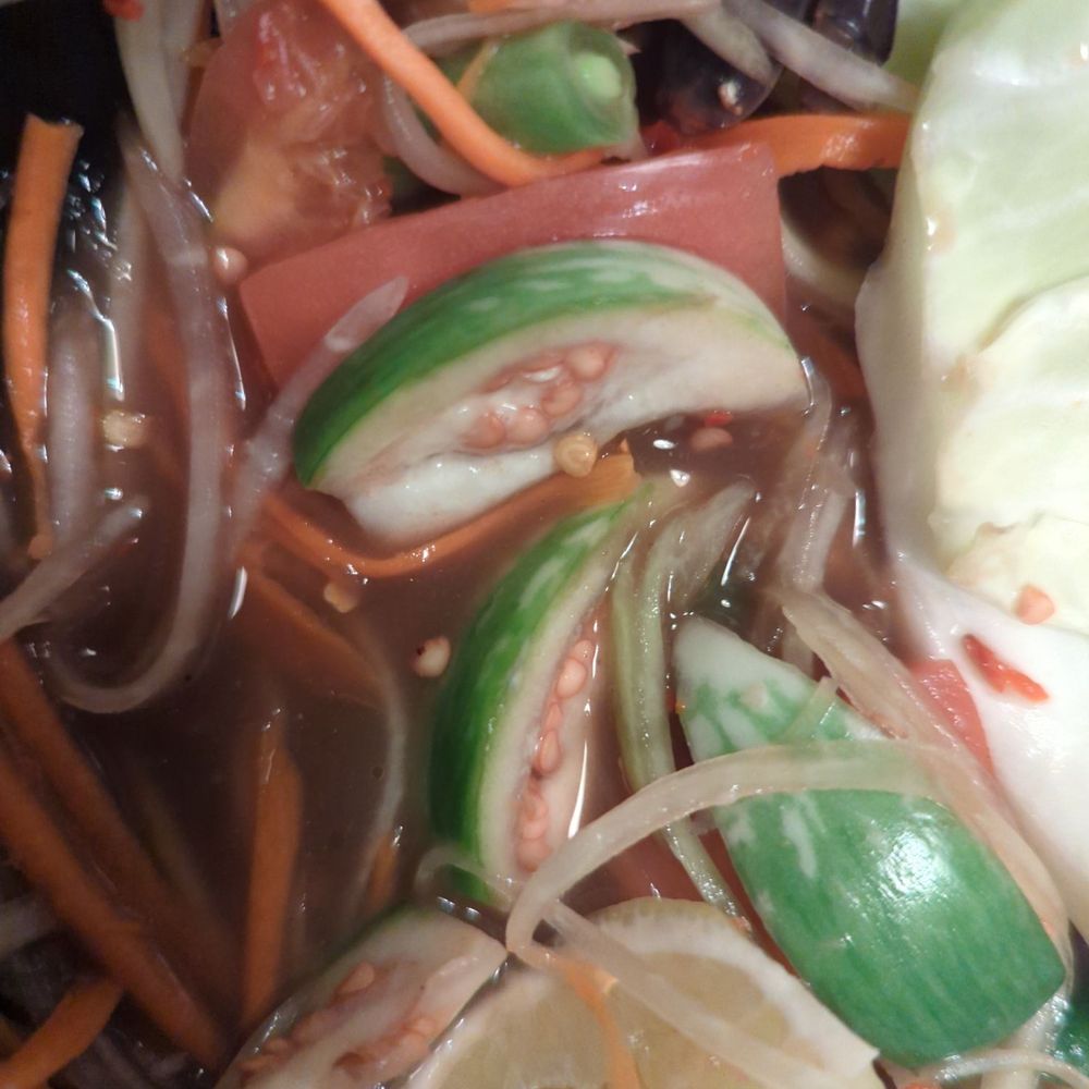 Papaya Salad Papaya Salad
