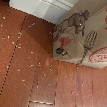 Ramblei - Evidence of Mice having eaten through bag - Home Cleaning Near Me - Philadelphia, Pennsylvania