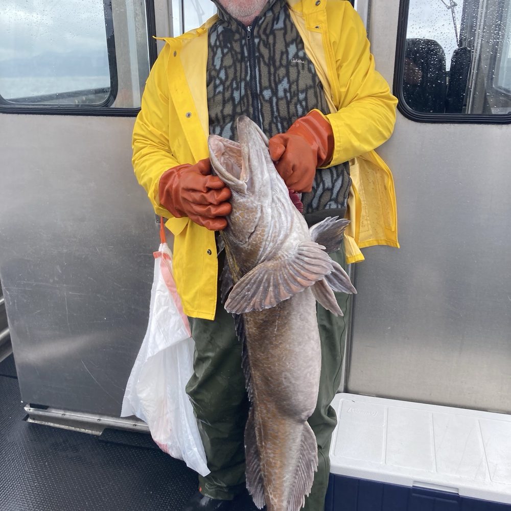 Middle Island Lodge - Me with 46" ling cod that had to be returned, outside the slot limits - Fishing Near Me - Sitka, Alaska