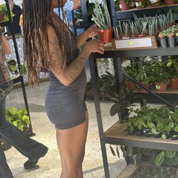 The Plant House