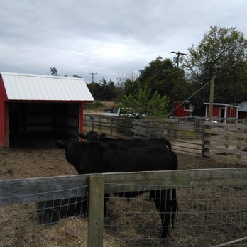 Johnson's Corner Farm - Mooooo - Fruits & Veggies Near Me - Medford, New Jersey Johnson's Corner Farm - Mooooo - Fruits & Veggies Near Me - Medford, New Jersey