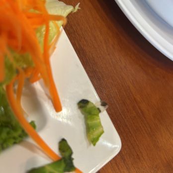 Pho Plus 1 - Black edges on the lettuce inside of our Shimp Spring Roll. Not acceptable! - Vietnamese Near Me - Oklahoma City, Oklahoma