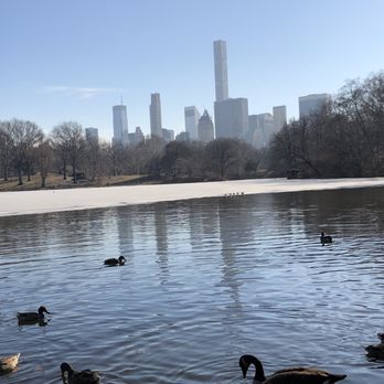 Central Park Conservancy - Parks Near Me - New York, New York