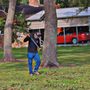 Photo of Galvan Tree Services
