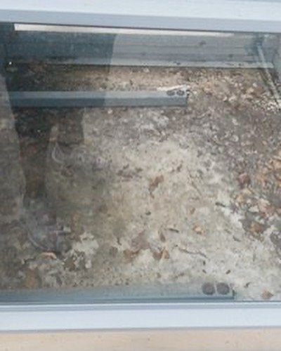 Slide of WegoDaDistance