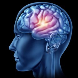 Traumaology - EMDR Therapy