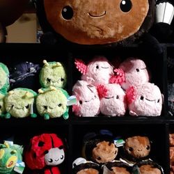The Wandering Dragon Game Shoppe - Plushies. 11/27/24