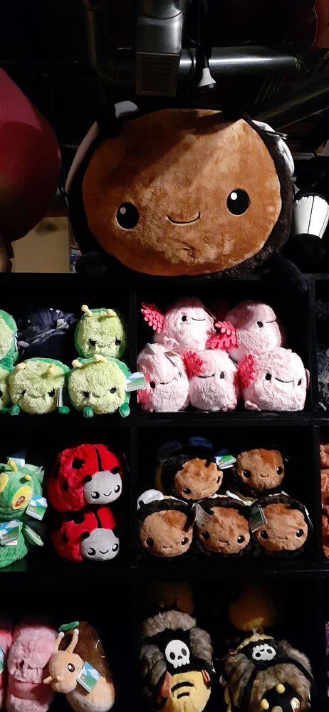 The Wandering Dragon Game Shoppe