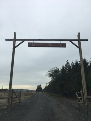 Pegasus Project by null