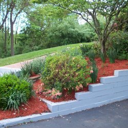 ACF Landscape