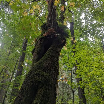 Powell Butte Nature Park - Parks Near Me - Portland, Oregon