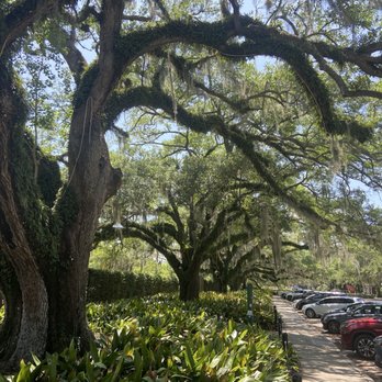 City Park - Parks Near Me - New Orleans, Louisiana City Park - Parks Near Me - New Orleans, Louisiana