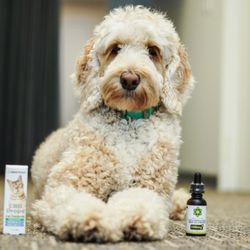 8 Borders - Thanks to Sammy, our 8B mascot, we carry a full line of pet formulated products.