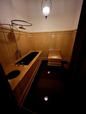 Iolani Palace by null