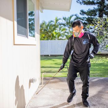 City Termite and Pest Control - Our integrated pest management program will help keep unwanted guests out of your home. - Pest Control Near Me - Kapolei, Hawaii City Termite and Pest Control - Our integrated pest management program will help keep unwanted guests out of your home. - Pest Control Near Me - Kapolei, Hawaii