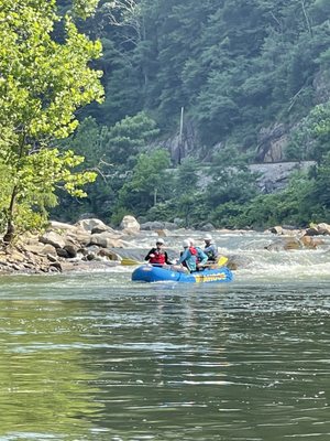 Wahoo's Adventures by null