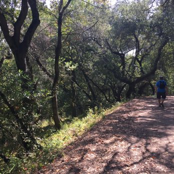 EBMUD Watershed Trails - Wooded glens - Parks Near Me - Oakland, California