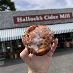 Apple Fritter