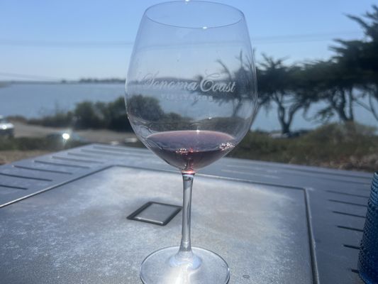 Sonoma Coast Vineyards by null