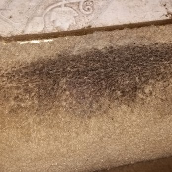 Lee Carpet Cleaning - Before - Carpet Cleaning Near Me - Warsaw, Indiana Lee Carpet Cleaning - Before - Carpet Cleaning Near Me - Warsaw, Indiana