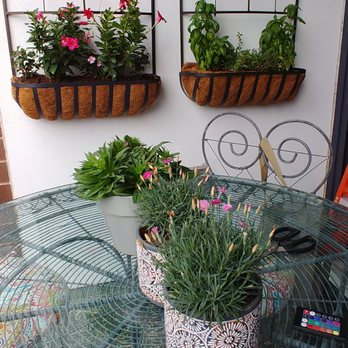 Urban Gardens By Paul - Current sanctuary - Gardeners Near Me Urban Gardens By Paul - Current sanctuary - Gardeners Near Me