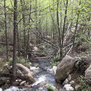 Dawn Mine Hike - Hiking Near Me - Altadena, California
