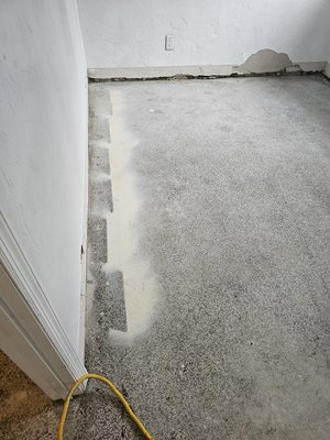 Terrazzo restoration - This home pulled up old flooring only to find terrazzo under it. So, restoring it is the beast thing you can do to help increase the value of your home and enjoy what is already there! Terrazzo restoration - This home pulled up old flooring only to find terrazzo under it. So, restoring it is the beast thing you can do to help increase the value of your home and enjoy what is already there!