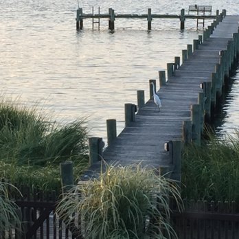 Salt Creek Grille - We had an unexpected dinner guest :) - New American Near Me - Rumson, New Jersey