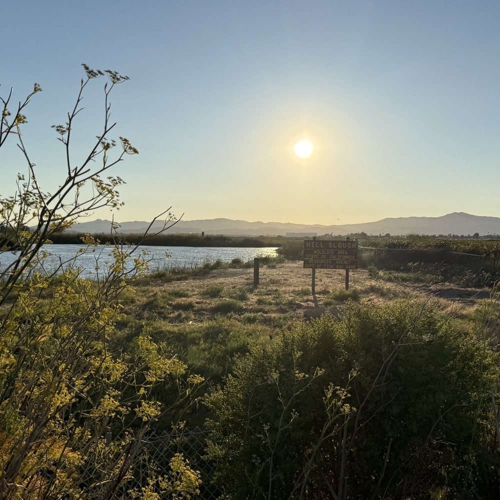 THE BEST 10 HIKING in SOLANO COUNTY, CA - Updated 2026 - Hours - Yelp