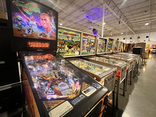 Pinball Hall of Fame by null