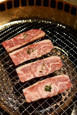 Chubby Cattle BBQ | New York by null