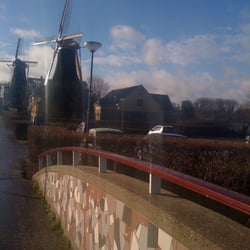 De Ster en De Lelie