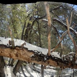 Deer Springs Trail To Suicide Rock - Panoramic photo taken on today's hike