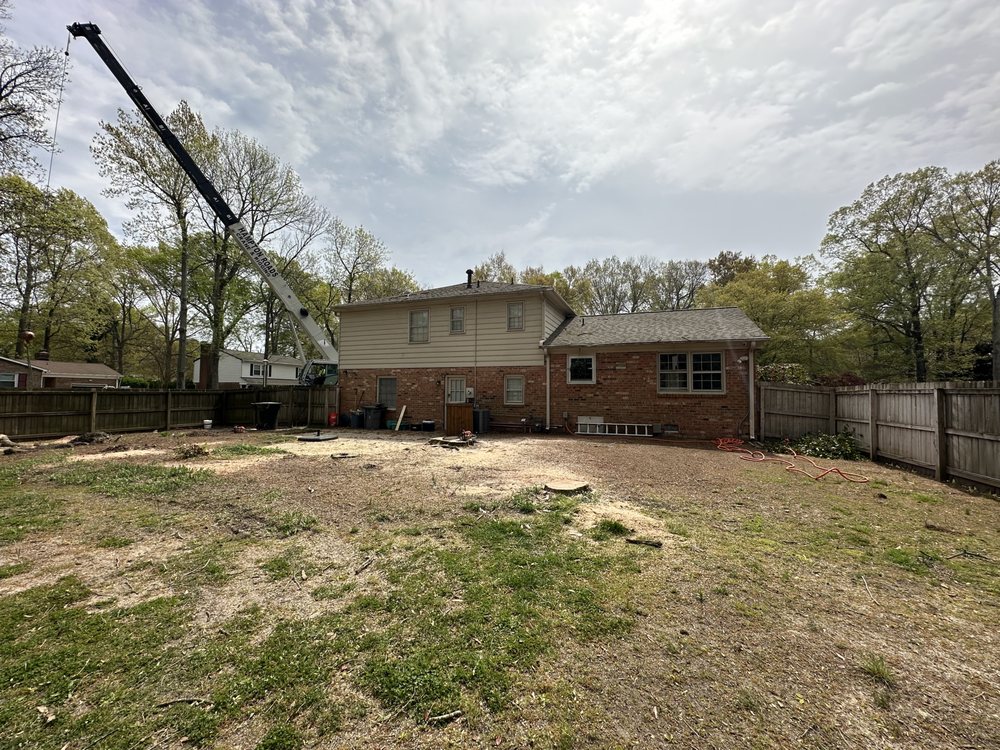 Bayview Tree Service - tree service in Poquoson, VA