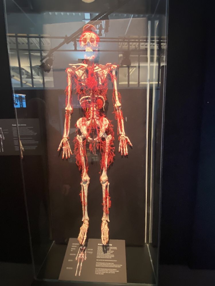 DA VINCI SCIENCE CENTER 46 Photos & 40 Reviews 3145 Hamilton Blvd