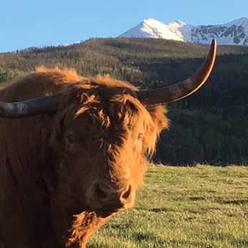 Karen's Custom Massage - Take the bull by the horns and feel better! - Massage Therapy Near Me Karen's Custom Massage - Take the bull by the horns and feel better! - Massage Therapy Near Me