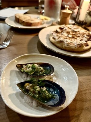 Paperbark Camp by null