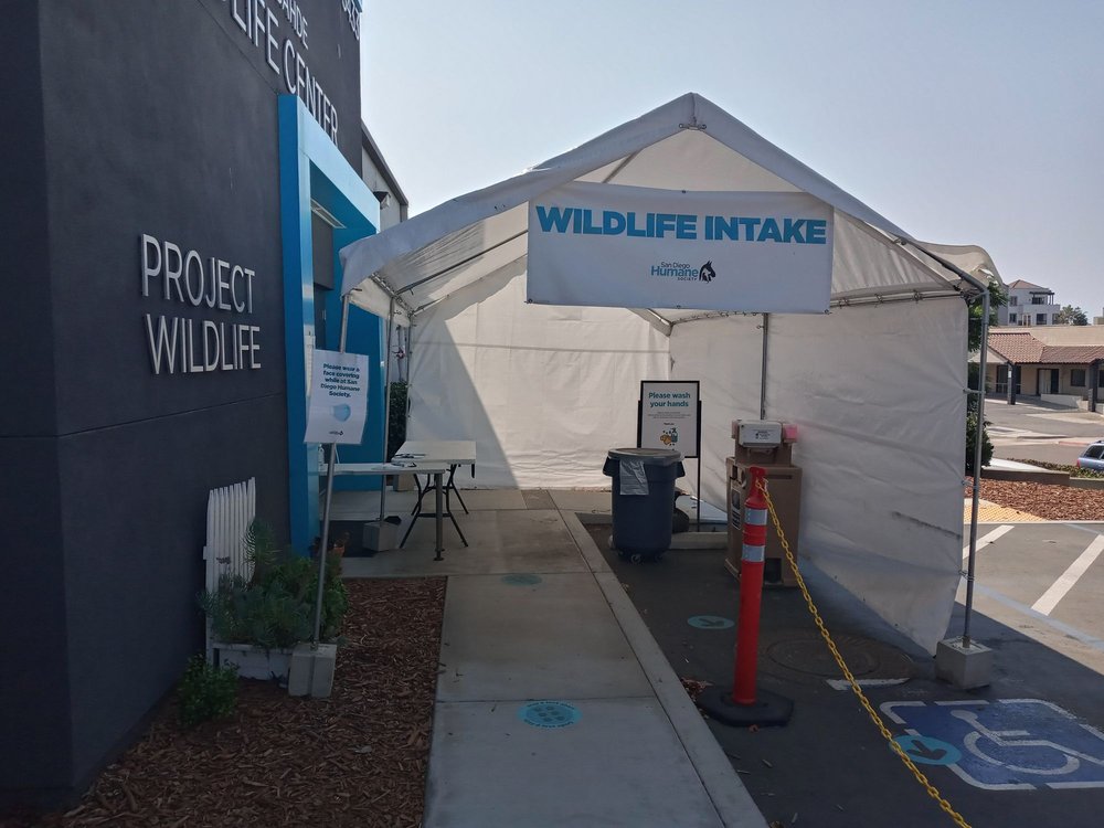 PROJECT WILDLIFE Updated April 2024 46 Photos & 42 Reviews 5433 Gaines St, San Diego