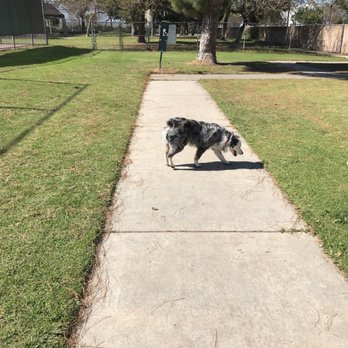 George Bellis Park - Dog Parks Near Me - Buena Park, California