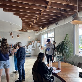 Palomino Coffee - Coffee & Tea Near Me - Austin, Texas Palomino Coffee - Coffee & Tea Near Me - Austin, Texas