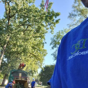 DC Arborcare - Tree Services Near Me - Belleville, Michigan