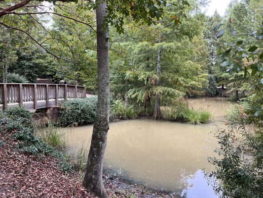 Hopelands Gardens by null