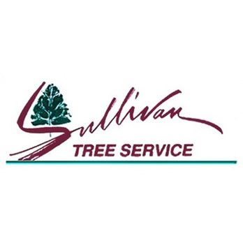 Sullivan Tree Service - logo for sullivan tree service - Firewood Near Me - Lawton, Oklahoma Sullivan Tree Service - logo for sullivan tree service - Firewood Near Me - Lawton, Oklahoma