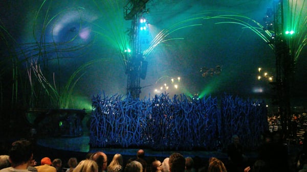 Parc Bagatelle - la Roseraie by null